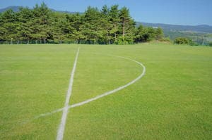 大住良之の「この世界のコーナーエリアから」第78回「ピッチの二〇三高地」(1)「世にも美しい絵を完成させた『かまぼこ』」の画像