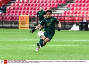 岡崎慎司、美しすぎるラ・リーガ初得点！「驚異の35Ｍループ弾」世界レベル美技の画像