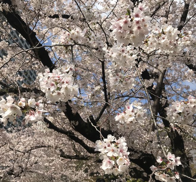 いまはそれを言うべきではない。「甘えるな、スポーツ選手」 (前編)の画像