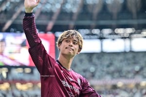 「めっちゃパパしてるやん」「汰木選手に似てる」J1神戸が汰木康也の”自宅突撃動画”を公開！ 愛猫を愛でる姿に「この動画は天才すぎる」「無料で見ていいのか…」と大絶賛の画像