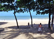 大住良之の「この世界のコーナーエリアから」　連載第48回「サッカーピッチは花ざかり」（後編）の画像