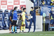 日本サッカー協会への提言「ヨーロッパに代表の拠点を!」(2)オランダかドイツに「海外版JFA夢フィールド」の画像