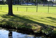 脇坂泰斗が先制ゴール！多摩川クラシコを制して「小さくガッツポーズ」を見せたのは？　 PHOTOギャラリー 【明治安田J1リーグ 第5節 川崎フロンターレvsFC東京 2024年3月30日 15:03キックオフ】の画像