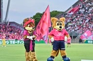 「佐渡まさしの衣装欲しい」アルビレックス新潟のJ1昇格後も続くプレゼントサービスに、まさかの「謎の歌手」! ファンは「定番化する恐れ」と歓喜の声の画像