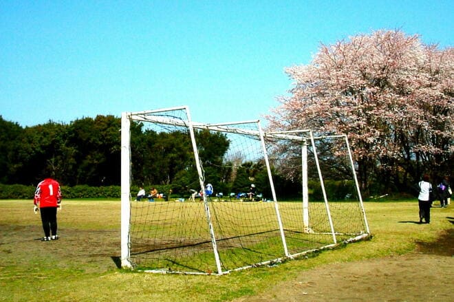 大住良之の｢この世界のコーナーエリアから｣第169回｢人生いろいろ、ゴールもいろいろ｣(2)横浜FMvs鹿島｢雷雨の延長戦｣、雨ニモ負ケズ｢帰っていった高校生｣、風ニモ負ケズ｢感心した応急対策｣の画像001