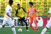 智将２人が手綱を握る「ACL出場権」攻防戦!【J1プレビュー】柏―名古屋の画像