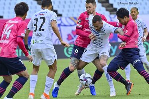 セレッソ大阪、白星スルリ！(2)新加入外国人がもたらした重厚すぎる安定感の画像