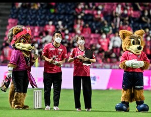 【動画】「やべーめちゃ可愛い」「これはカワイイ」C大阪の試合前にJリーグ版キツネダンス披露で話題！ 「ファイターズガール」「セレッソガール」「池田愛恵里」が夢の共演の画像