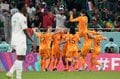 PHOTOギャラリー「ピッチの焦点」後半の連続ゴールでオランダが勝利【FIFAワールドカップ2022カタール　セネガル代表vsオランダ代表2022年11月21日】（渡辺航滋撮影）の画像013