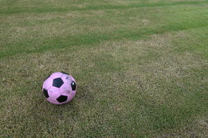 大住良之の「この世界のコーナーエリアから」　第23回「『甘い』ボール」の画像