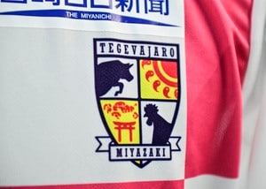 「支持されてて笑う」J3宮崎のマスコット、「（仮称）が正式採用」の危機!? 選挙におけるSNSの力に「やっぱり」「シュールさで勝てないって」などの声の画像