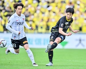 「柏―浦和」で乱闘直前騒動！ ピッチ上で「突き飛ばし＆選手入り乱れ」発生で主審が提示したカードの枚数は？の画像