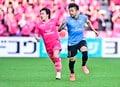 試合後には涙の挨拶も……登里享平が15年所属した古巣との初マッチ！【photoギャラリー】セレッソ大阪ー川崎フロンターレの画像016