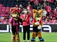 「いつの間にそんなエレガントパスを」シントトロイデンFW林大地のゴールを呼び込んだ、岡崎慎司ら「日本人3選手の“連係”」！ 「自分が決めたみたい」と得点前後も見どころ満載の今季7点目の画像