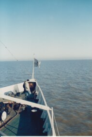 「多摩川クラシコ」は徳元悠平と安部柊斗のゴールででFC東京が制す！　PHOTOギャラリー【明治安田J1リーグ 第13節 FC東京vs川崎フロンターレ 2023年5月12日 19:34キックオフ】の画像