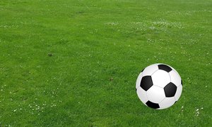 写真はイメージです